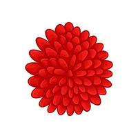 illustration de fleur botanique floral vecteur couleur ornement rouge