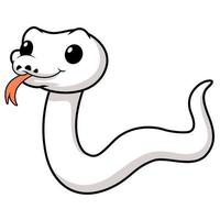 mignonne blanc leucistique Balle python serpent dessin animé vecteur