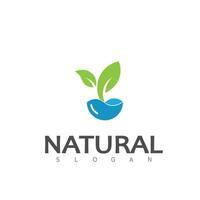 Naturel feuille la nature éco logo conception modèle vecteur