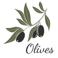 noir Olives sur branches avec feuilles vecteur