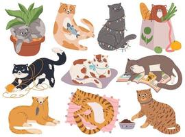 chats. mignonne duveteux minou en jouant avec fil ou jouets, en train de dormir dans lit, séance dans plante pot. dessin animé espiègle animal de compagnie animal personnage vecteur ensemble