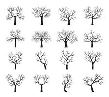 ensemble de noir des arbres sans pour autant feuilles. vecteur contour illustration. plante dans jardin.