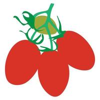 icône de fruit de tomate vecteur