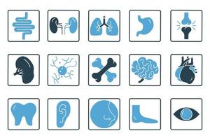 Humain organes icône ensemble illustration. intestins, reins, poumons, estomac, les articulations, rate, cerveau, foie, nez et autres. solide icône style. Facile vecteur conception modifiable