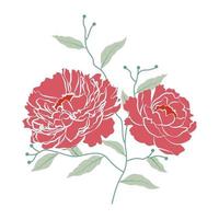 illustration vectorielle de fleurs de pivoine avec branche et feuille vecteur