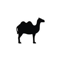 chameau icône isolé sur blanc Contexte vecteur