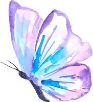aquarelle violet papillon clipart isolé sur blanc Contexte vecteur