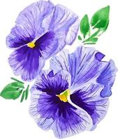 composition de deux violet pensée fleurs avec feuilles aquarelle floral clipart isolé vecteur