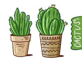 Accueil cactus dans marmites. coloré dessin animé style vecteur illustration. isolé sur blanc Contexte.