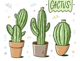 différent de cactus dans une Accueil mis en pot. dessin animé style. vecteur illustration isolé sur blanc Contexte.