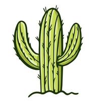 mexicain cactus. main tiré coloré vecteur illustration. plat style. isolé sur blanc Contexte.