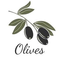 noir Olives sur branches avec feuilles vecteur