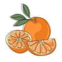 délicieux Orange fruit. Couleur illustration de une mûr Orange entier et moitié vecteur