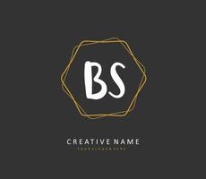 b s bs initiale lettre écriture et Signature logo. une concept écriture initiale logo avec modèle élément. vecteur