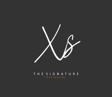 X s xs initiale lettre écriture et Signature logo. une concept écriture initiale logo avec modèle élément. vecteur