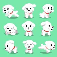 Poses de chien bichon frisé de personnage de dessin animé vecteur