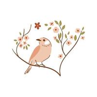 oiseau sur arbre branche vecteur élément. mignonne beige moineau main tiré illustration. printemps sauvage oiseau dans puéril style. ornithologie affiche. observation des oiseaux dans la nature.