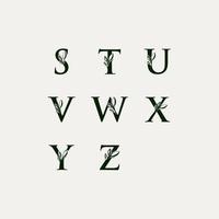 la nature stuvwxyz alphabet vecteur conception