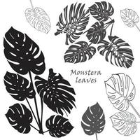 silhouette tropical monstera feuilles. noir isolé sur blanc Contexte vecteur