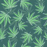 modèle sans couture vert avec des herbes médicales. fond répétitif avec des feuilles de marijuana et de cannabis. illustration naturelle du chanvre. vecteur