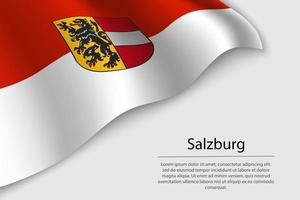 vague drapeau de Salzbourg est une Etat de L'Autriche vecteur