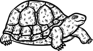 tortue animal coloration page pour adulte vecteur