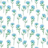 fond transparent avec des bleuets. vecteur. motif floral solide délicat. petites fleurs sauvages bleues. vecteur