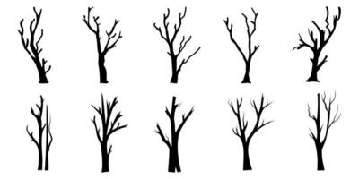 arbre de branche noire ou ensemble de silhouettes d'arbres nus. illustrations isolées dessinées à la main. vecteur