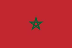 Maroc Facile drapeau correct taille, proportion, couleurs. vecteur