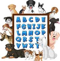 tableau de l'alphabet az avec de nombreux types de chiens vecteur