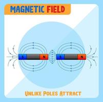 le champ magnétique de pôles différents attire vecteur