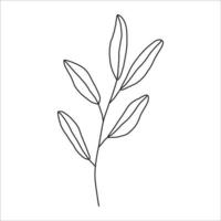 noir silhouette de une plante branche. fleur branche dans contour style main tiré sur isolé blanc Contexte. vecteur Stock illustration. tropical feuilles. minimal ligne art pour imprimer, couverture ou tatouage.