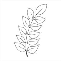 noir silhouette de une plante branche. fleur branche dans contour style main tiré sur isolé blanc Contexte. vecteur Stock illustration. tropical feuilles. minimal ligne art pour imprimer, couverture ou tatouage.