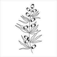 noir silhouette de une plante branche. fleur branche dans contour style main tiré sur isolé blanc Contexte. vecteur Stock illustration. tropical feuilles. minimal ligne art pour imprimer, couverture ou tatouage.