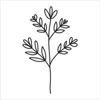 noir silhouette de une plante branche. fleur branche dans contour style main tiré sur isolé blanc Contexte. vecteur Stock illustration. tropical feuilles. minimal ligne art pour imprimer, couverture ou tatouage.