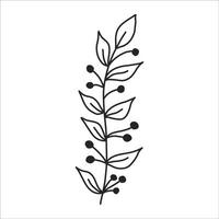 noir silhouette de une plante branche. fleur branche dans contour style main tiré sur isolé blanc Contexte. vecteur Stock illustration. tropical feuilles. minimal ligne art pour imprimer, couverture ou tatouage.