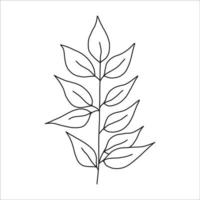 noir silhouette de une plante branche. fleur branche dans contour style main tiré sur isolé blanc Contexte. vecteur Stock illustration. tropical feuilles. minimal ligne art pour imprimer, couverture ou tatouage.