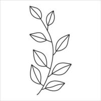 noir silhouette de une plante branche. fleur branche dans contour style main tiré sur isolé blanc Contexte. vecteur Stock illustration. tropical feuilles. minimal ligne art pour imprimer, couverture ou tatouage.