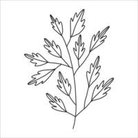 noir silhouette de une plante branche. fleur branche dans contour style main tiré sur isolé blanc Contexte. vecteur Stock illustration. tropical feuilles. minimal ligne art pour imprimer, couverture ou tatouage.