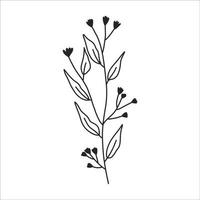 noir silhouette de une plante branche. fleur branche dans contour style main tiré sur isolé blanc Contexte. vecteur Stock illustration. tropical feuilles. minimal ligne art pour imprimer, couverture ou tatouage.