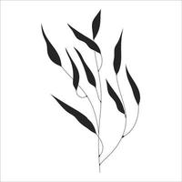 noir silhouette de une plante branche. fleur branche dans contour style main tiré sur isolé blanc Contexte. vecteur Stock illustration. tropical feuilles. minimal ligne art pour imprimer, couverture ou tatouage.