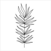 noir silhouette de une plante branche. fleur branche dans contour style main tiré sur isolé blanc Contexte. vecteur Stock illustration. tropical feuilles. minimal ligne art pour imprimer, couverture ou tatouage.