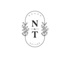 initiale NT des lettres magnifique floral féminin modifiable premade monoline logo adapté pour spa salon peau cheveux beauté boutique et cosmétique entreprise. vecteur