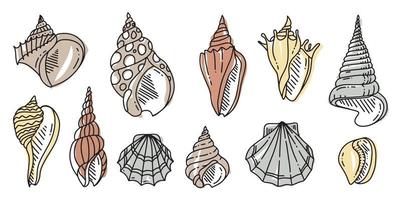 ensemble de griffonnage coloré de coquille de mer. divers coquillages dans les grandes lignes. illustration plate dessinée à la main. vecteur