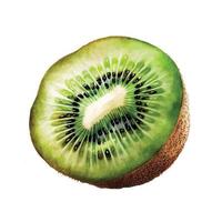 aquarelle de Frais tranché kiwi vecteur