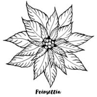 carte de voeux joyeux Noël. poinsettia dans le style de ligne de doodle sur fond blanc. vecteur