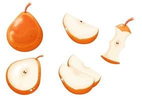 entier Orange poire et différent poire tranches. dessin animé style des fruits. vecteur