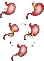 un atome, physiologie de le estomac explication vecteur illustration