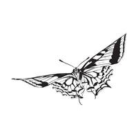 illustration de papillon esquisser dessin grunge vecteur contour animal