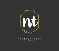n t NT initiale lettre écriture et Signature logo. une concept écriture initiale logo avec modèle élément. vecteur